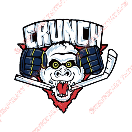 Syracuse Crunch Customize Temporary Tattoos Stickers NO.9158